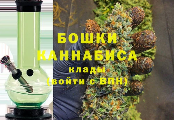 МДПВ Алексин