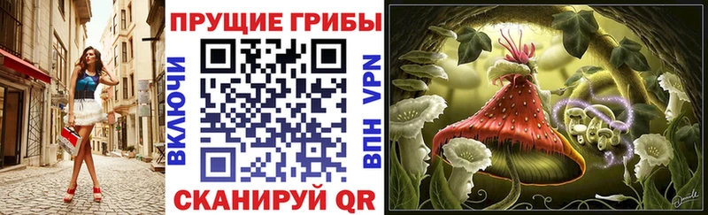 хочу   Болгар  Псилоцибиновые грибы Magic Shrooms 